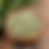 Thumbnail: Organic Dried Rosemary