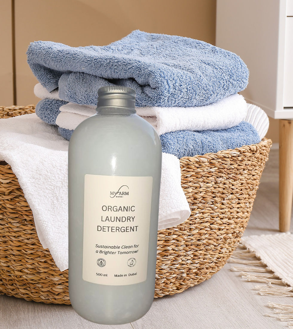 Eco-Friendly Laundry Detergent 500ML