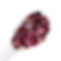 dried-rose-petals-1.jpeg