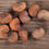 Thumbnail: Organic Baobab Tree Seeds