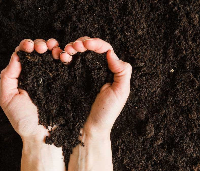 Garden consulting Dubai