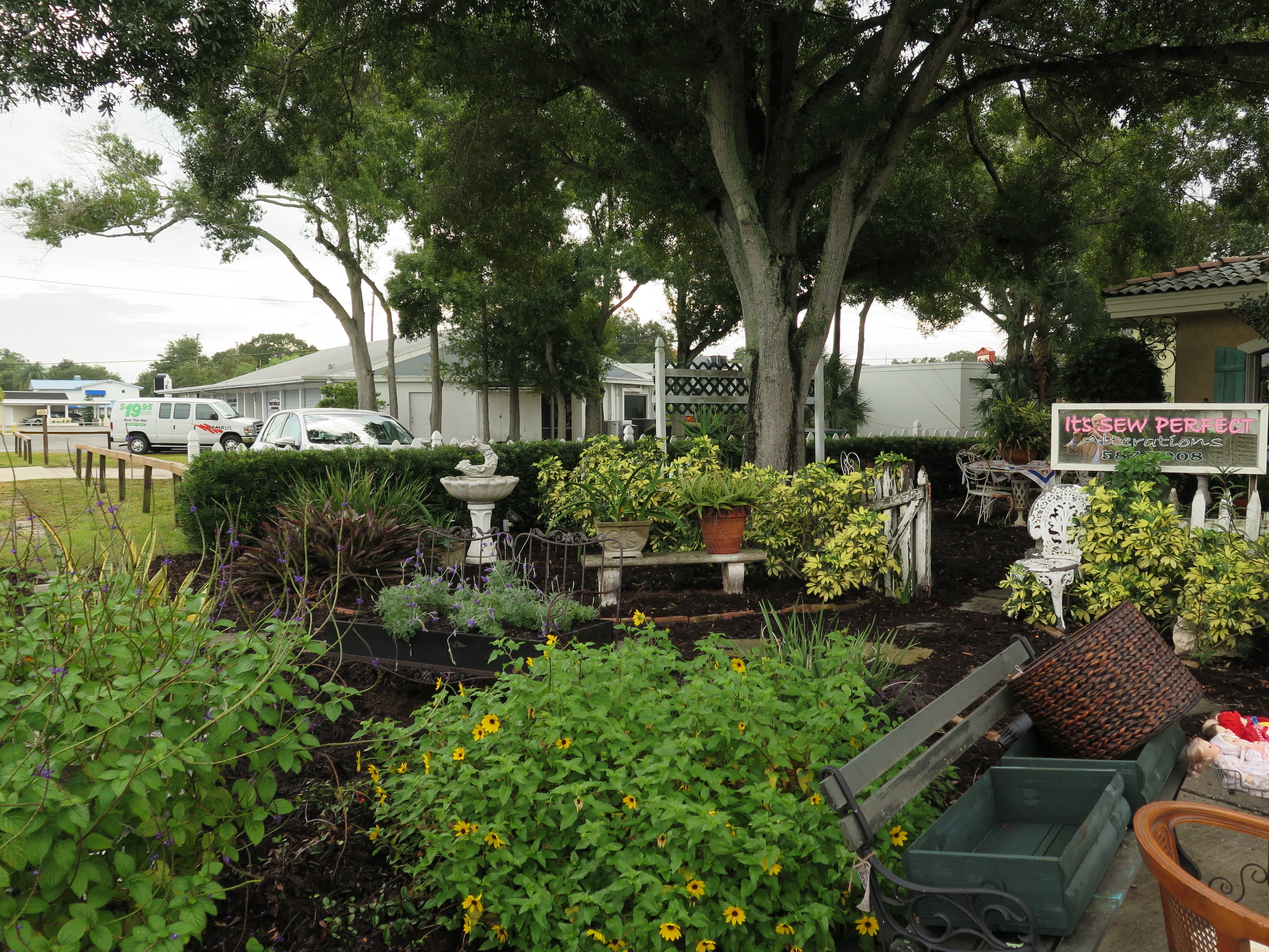 Front Garden Area
