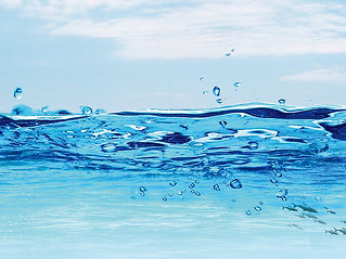 水質.jpg