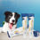 Miniature : Dentifrice pour chiens