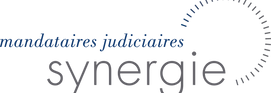 Logo_MjSynergie_edited.png