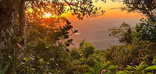 land in ceara for sale sunset with panoramic view and forest