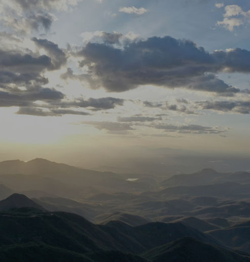 Assistance navigating Brazilian bureaucracy for investors, immigrants and expatrates