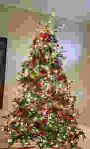 Step 5: Ornaments
