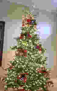 Step 2: Ribbon