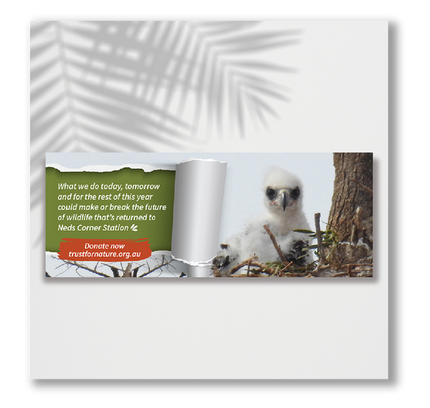 Social Media Campaign Banner