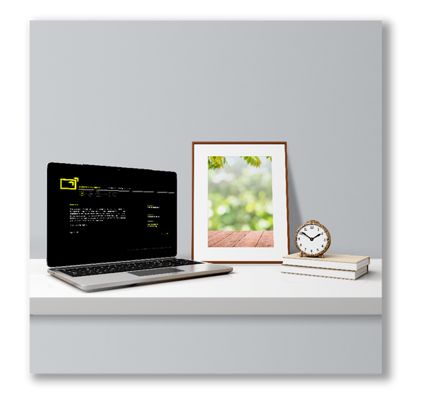 Financial Advisor Website