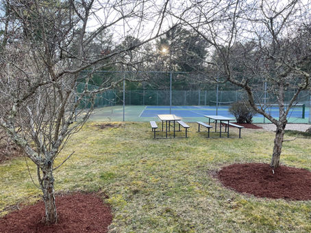 Update on REA Landscaping Committee Projects for 2025