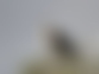 A marker of seasonal change is arriving soon and Falmouth will be ready