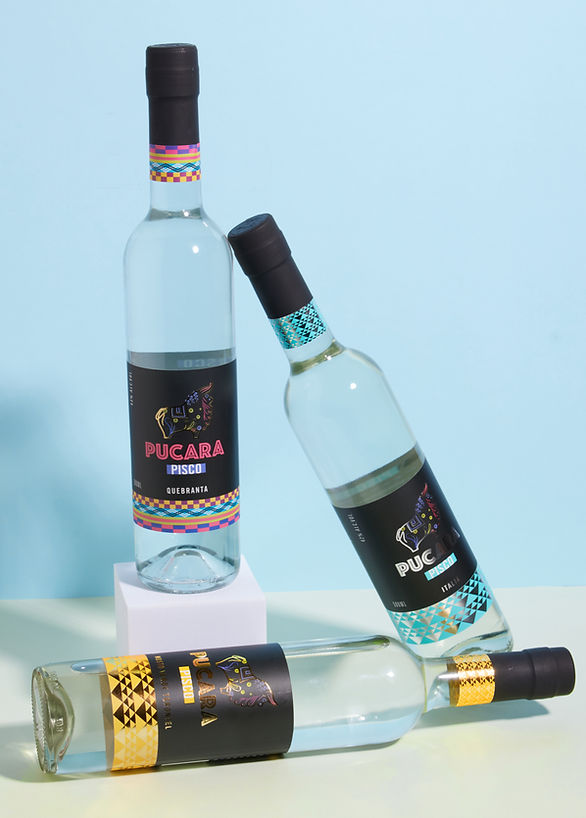 Pucara_Pisco_28116_edited.jpg