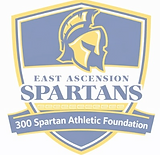 300 SAF Logo_edited.png