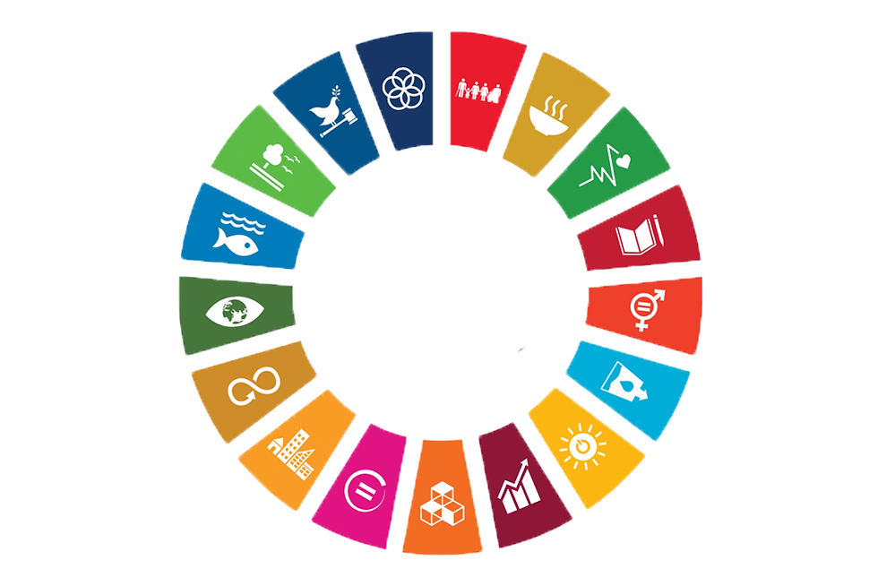 sdg-wheel-landscape-white-bg_en.png