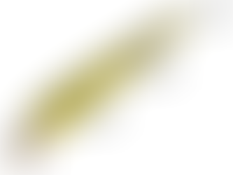 Good Gear: BAGLEY LURES – MINNOW B 05