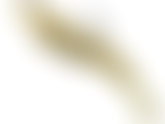 Good Gear: ZMAN 3.5” EZ SHRIMPZ – RIGGED