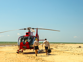 FISHING PA: NAUTILUS CHOPPER FISHING