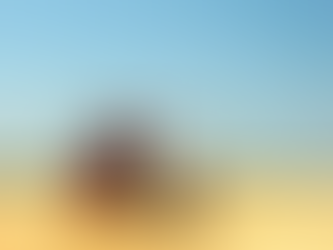 FISHING PA: NAUTILUS CHOPPER FISHING