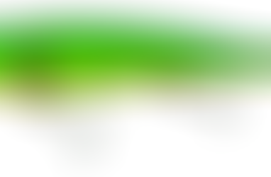 KILLALURE NEEDLENOSE