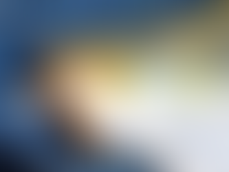 PA: Favourite Barra Lures – 6 Anglers Reveal