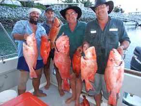 MOTHERSHIPPING FROM MACKAY