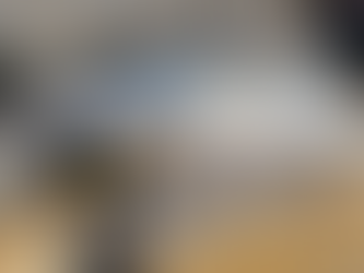 GOOD GEAR: SHIMANO RAIDER NATIVE AND SHIMANO CAENEN BAITCASTING REEL