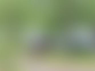 PA: Corroboree Park Tavern