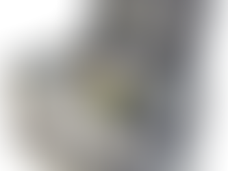 CFX – THE NEXT GENERATION PORTABLE FRIDGE