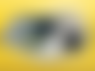 SWAGS BY BLACK WIDOW