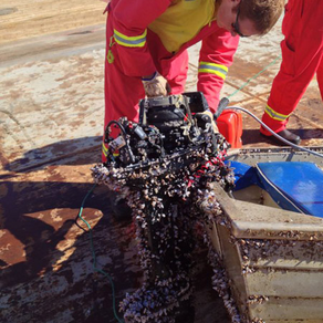 Barnacle-encrusted outboard starts