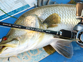 GOOD GEAR - SHIMANO DIALUNA BAITCAST ROD