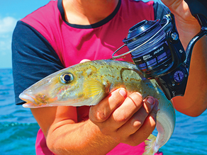 GOOD GEAR: Abu Revo Inshore Ins40 Spin Reel / Spiderwire Stealth Blue Camo Braid