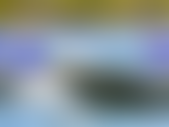 BOATING REVIEW: NEW SAVAGE RAPTORS