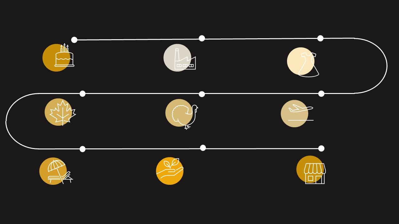 barcode timeline plain.jpg