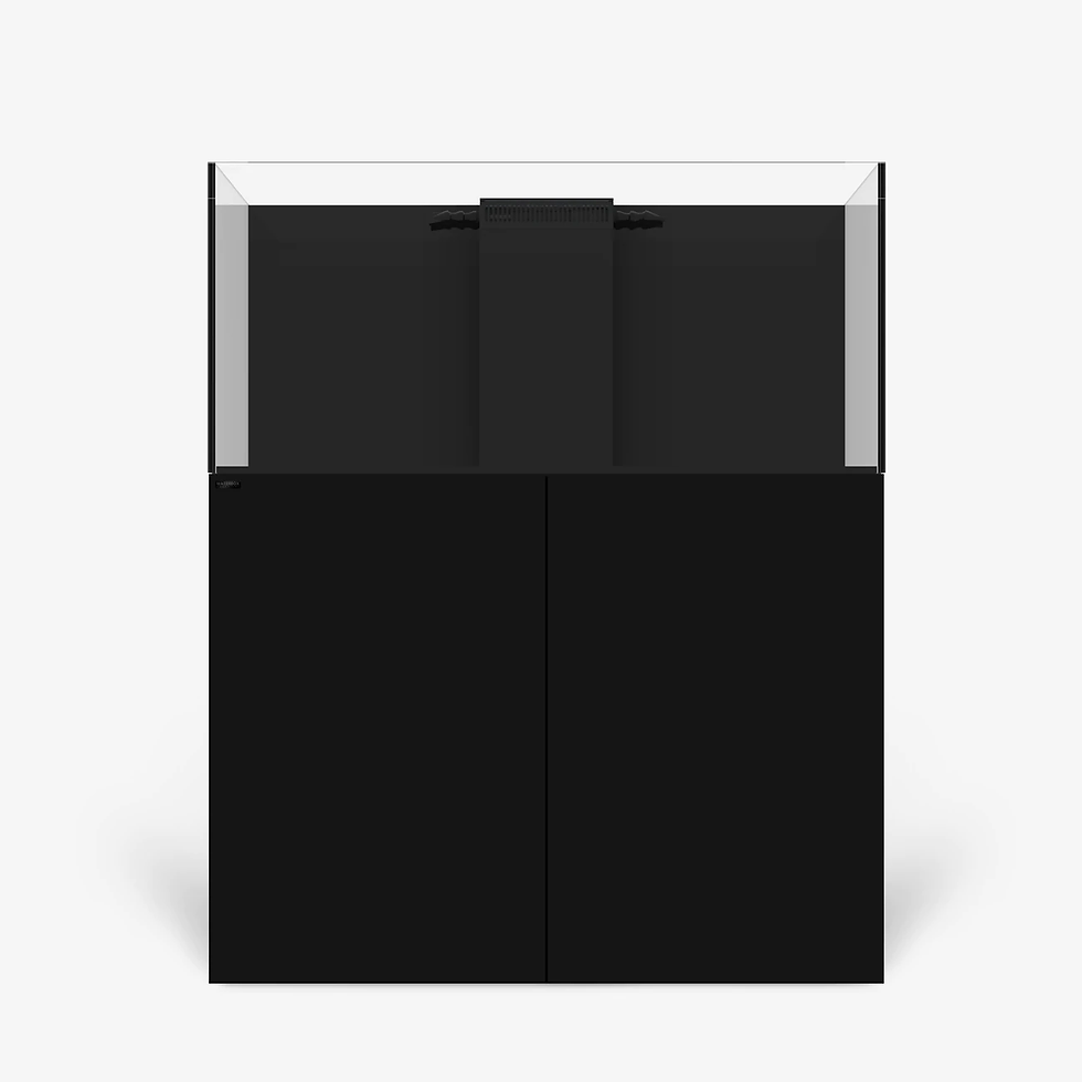 Thumbnail: MARINE X 110.4