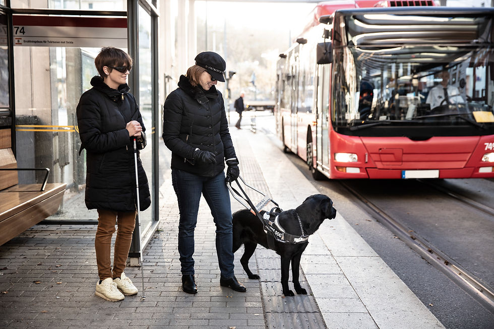 Blind Accessibility Scene