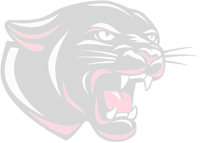 Panther Transparent_edited_edited.png