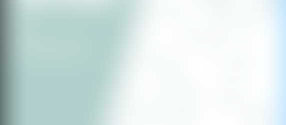 2.8. - INFOGRAFÍA ANIMADA.