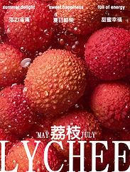 Screenshot 2025-11-18 021720_edited.jpg