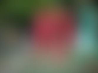 【香港甲組足球聯賽 第1週 | 駿英九龍城4:1愉園】