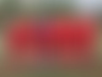 【香港甲組足球聯賽 |  黃大仙 2:2 駿英九龍城 】