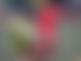 𝙋𝙝𝙤𝙩𝙤 𝙍𝙚𝙘𝙖𝙥 📷