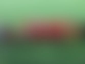 Happy New Year 🎆 新年快樂🍾