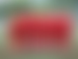 【香港甲組足球聯賽 第4週 | 駿英九龍城2:1凱景】