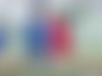 【香港甲組足球聯賽 第8週 | 駿英九龍城2:0南華】