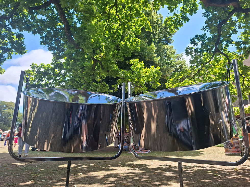 Steel Pans under trees