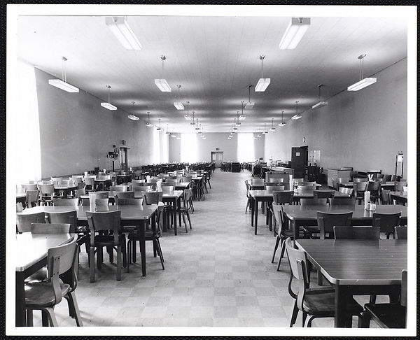 image13.jpg