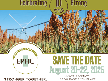 EPHC Annual Conference 2025: Celebrating 10 Years of Rural Healthcare Innovation